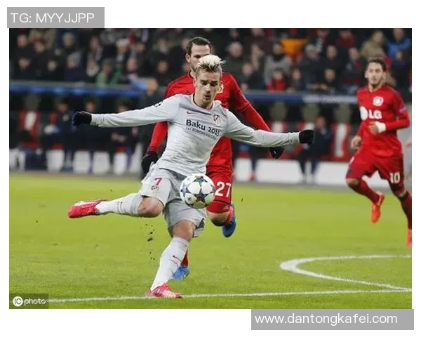 鹰与足球明星的象征意义探讨及其代表国家分析