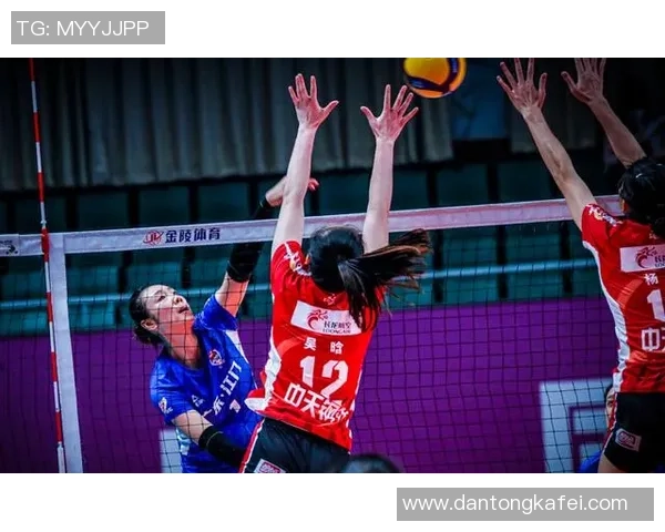 成都排球队转型之路的挑战与机遇探索特别报道